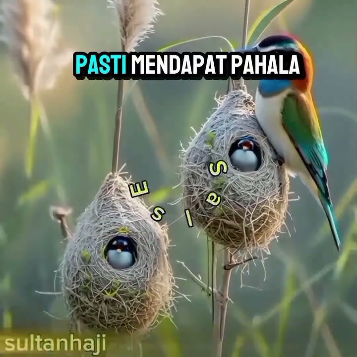 Ngeyelnya umat na bi Musa #ruz #reels #alquransejarah