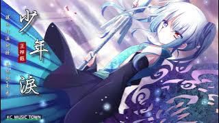 【2021新歌】少年泪 | 少年淚 - 王梓鈺【讓雨打濕翅膀 再振翅高飛】(動畫《鬥破蒼穹》第四季片頭曲) 古風 中國風 抖音 中文歌曲 華語歌曲 lyrics 動態歌詞 | Chinese Song