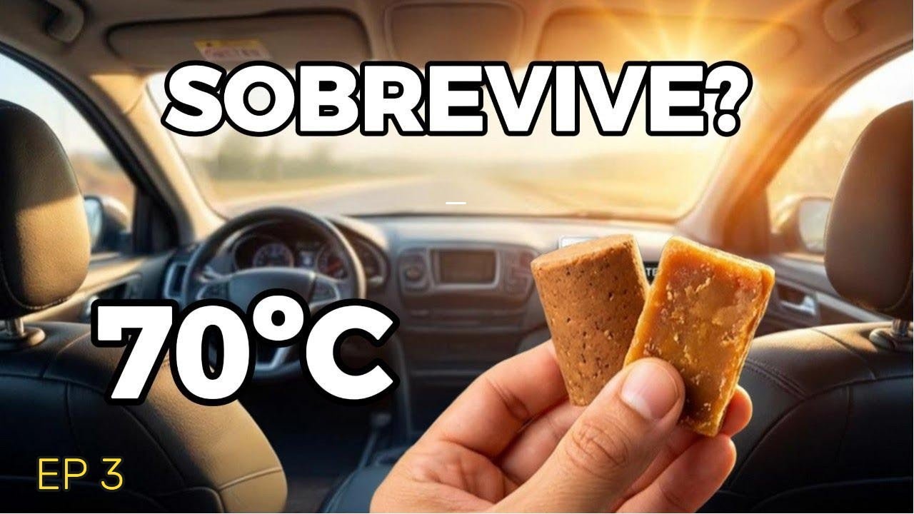Kit Carro 3: 8 Alimentos que Aguentam o Calor do Brasil