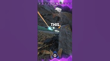 The BEST GUN for every weapon type!