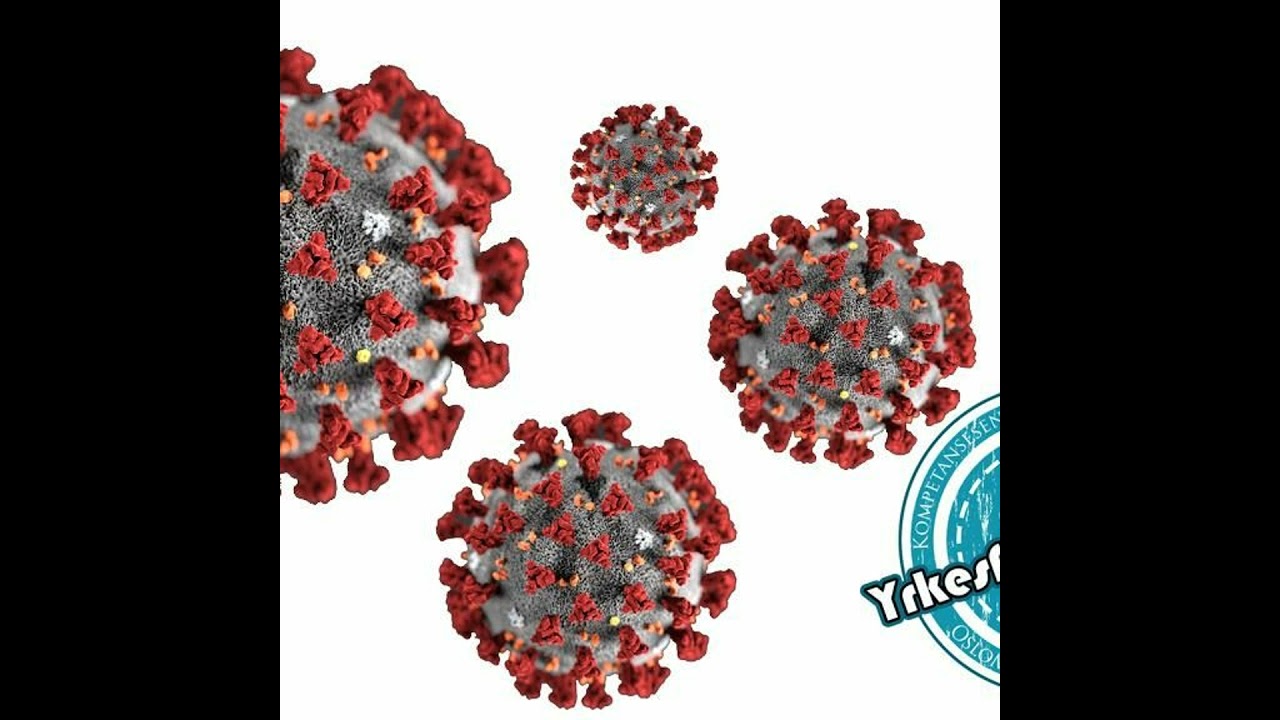 16 Yrkesfag på corona-stengte skoler