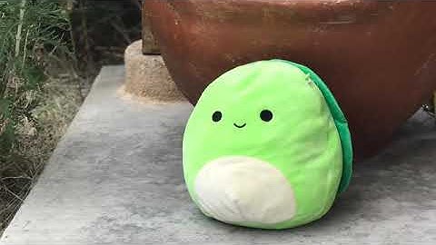 Adventuring The Outdoor Desert! Stop Motion | Squishmallow Productions