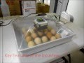 IncuView Egg Incubator Test Results