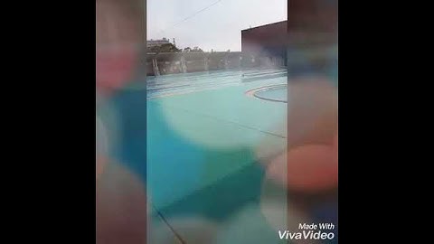 TKW TAIWAN//MENEMANI BOS RENANG