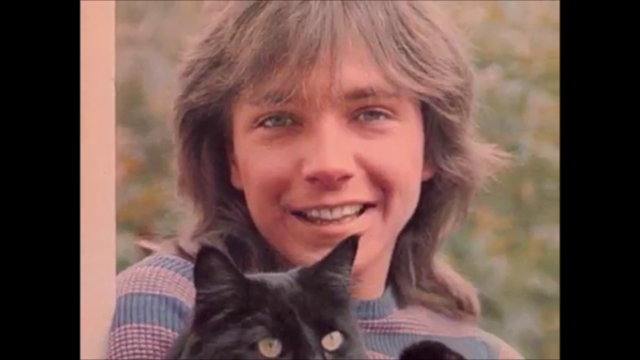 I Wanna Love You Forever A Tribute To David Cassidy YouTube