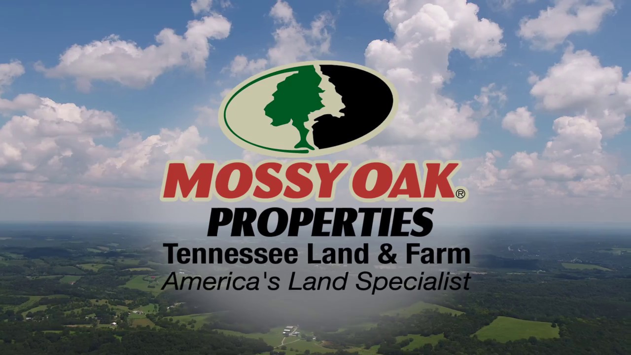 Mossy Oak Properties, Tennessee Land & Farm YouTube