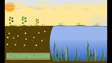 EUTROPHICATION AND BIOLOGICAL OXYGEN DEMAND (BOD) || SCIENCE PPT ||