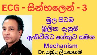 ECG 3  -IN SINHALA. ELECTRICAL MOVEMENT.MEDICAL & OTHER EDUCATIONAL CHANNEL BY DR. PUBUDU LIYANAGAMA