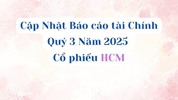 Cập Nhật Báo cáo tài chính Quý 3 Năm 2025 của Cổ phiếu HCM #HCM