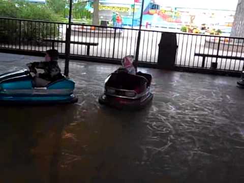 Bumper Car Boo Boo