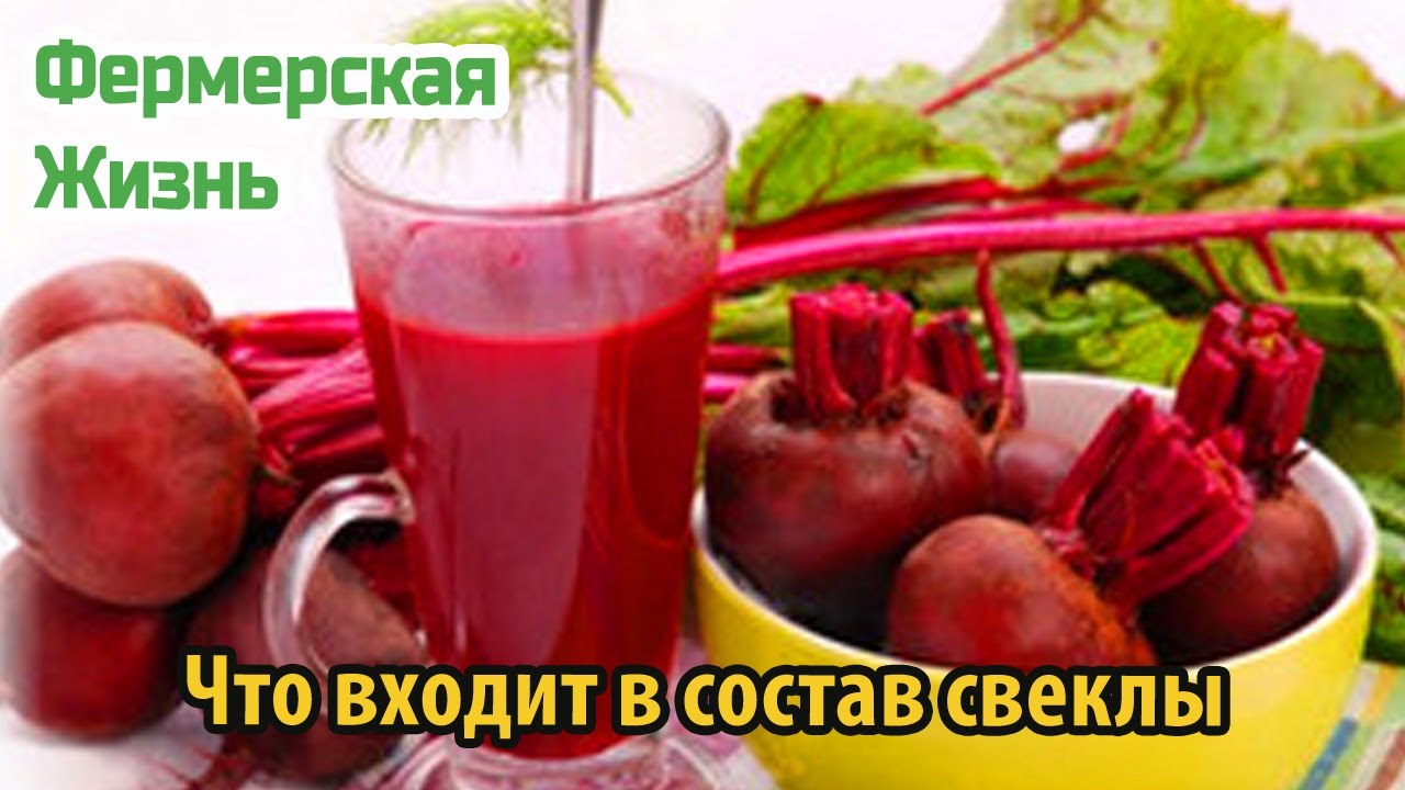 Что входит в состав свеклы