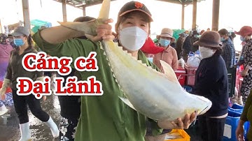 Cảng cá Đại Lãnh | Cảng nhiều Cá tươi - ngon nhất huyện Vạn Ninh Khánh Hoà