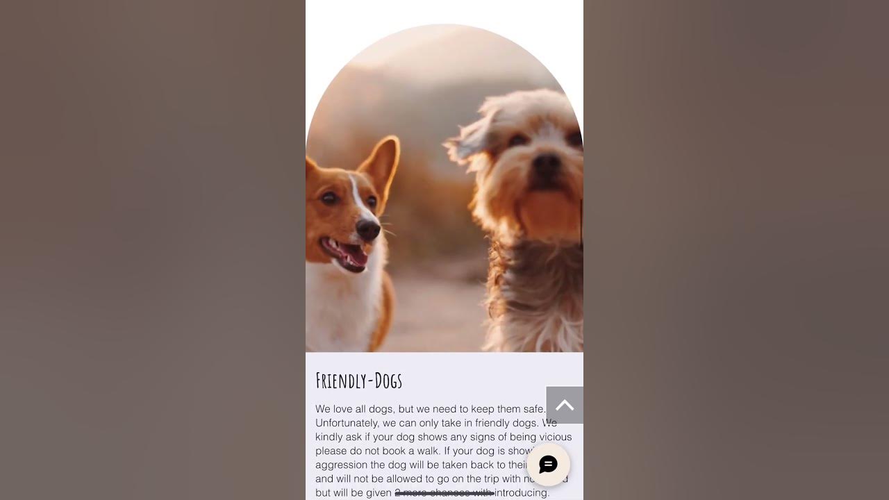 Dog Walking Websites Dog Walking Denver Building A Website On Wix dog-walking-websites-dog-walking-denver-building-a-website-on-wix