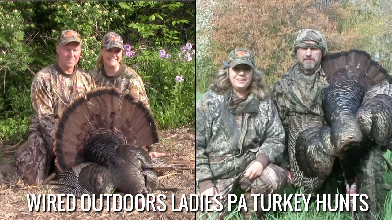 Wired Outdoors Ladies PA Turkey Hunts YouTube