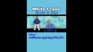 White Crane !... https://trafficize.app/app/WuChi