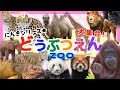 【動物アニメ】動物園へ行こう5！どうぶつの名前を覚えよう♪ライオン ゾウ キリン トラ パンダなど総勢１５種類の実写動画