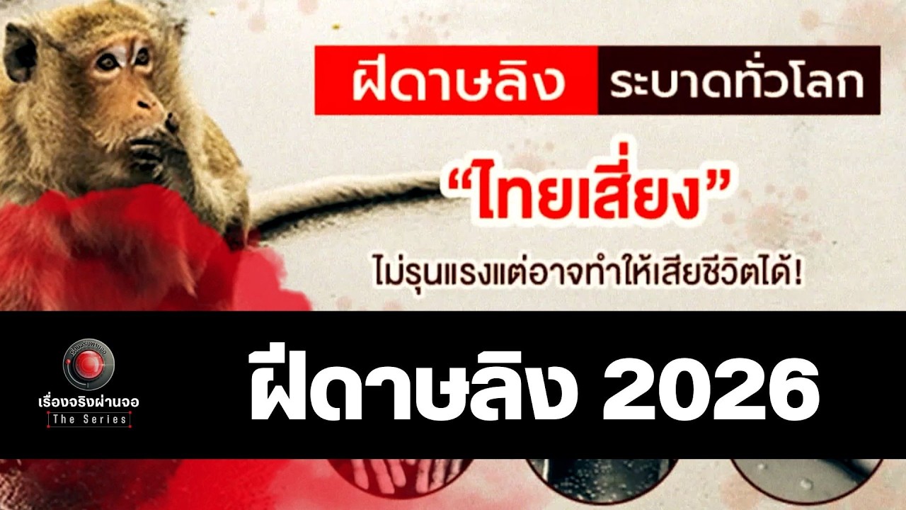 ฝีดาษลิง 2026 เรื่องจริงที่คุณอาจเข้าใจผิดมาตลอด