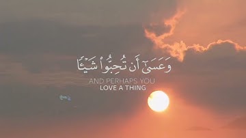 والله يعلم وأنتم لا تعلمون 🧡  القارئ ماهر المعيقلي 💫