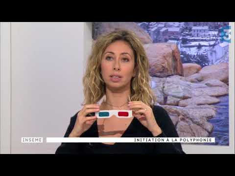 Image du reportage Inseme du 10/01/2018 : Messaghjeru mutu (France 3 Corse ViaStella)