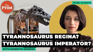 Controversial Paper Says T. Rex Is 3 Species, Not Everyone Agrees