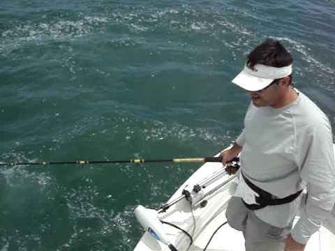 TWO Giant Bull Sharks ATTACK. Extreme Tarpon Fishi...