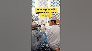 সকল মানুষ ও প্রাণীকে মৃত্যুর স্বাদ গ্রহণ করতে হবে #islam #عبدالرحمن_مسعد_تلاوة_جديدة #islamic