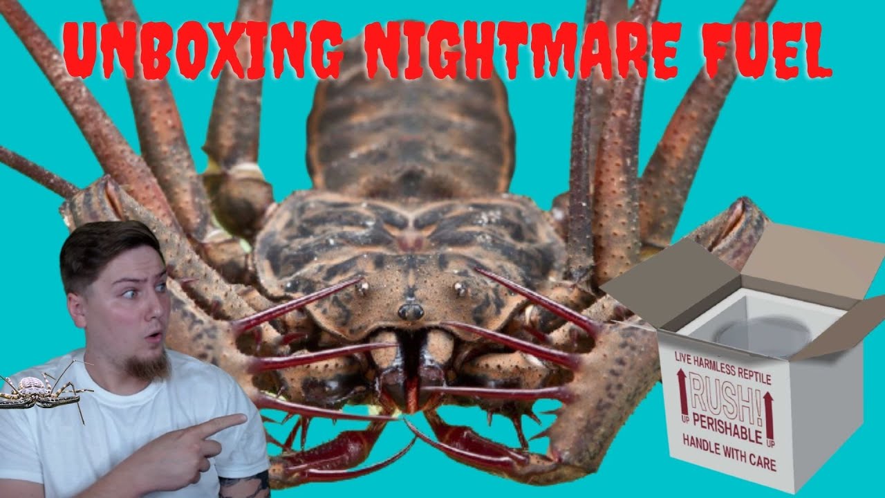 Unboxing Nightmare Fuel?! Tailless Whip Scorpion Unboxing YouTube