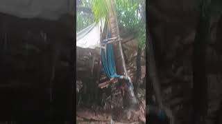 do teen din se Waris ##😍🥰Ayush Kumar blogger