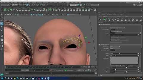 Making eyebrows for a custom Metahuman