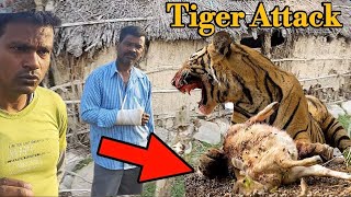 Jim Corbett National Park | Sunderkhal Maneater Tiger | यहां रहते है आदमखोर बाघ | Tiger Attack