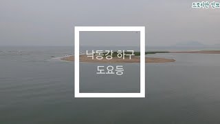 도요등 영상