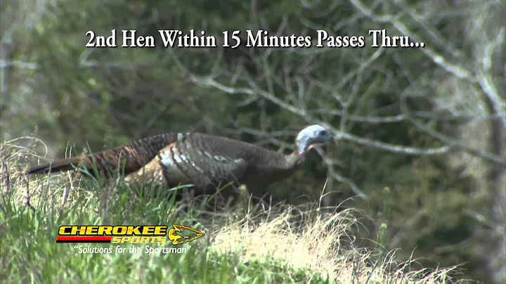 Mid Day Gobbler Massacre - Jason Lankford Turkey H...