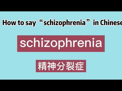 Schizophrenia in chinese