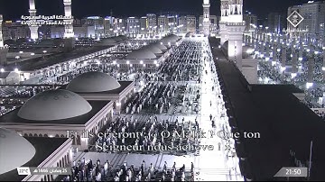 تلاوة ليلة 26 رمضان 1446 هـ من صلاة التراويح من المسجد النبوي | الشيخ عبدالمحسن القاسم