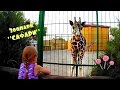 Зоопарк Сафари в Бердянске животные для детей Zoo Safari in Berdyansk animals for kids