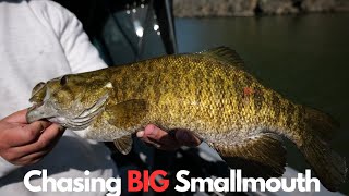 Chasing TROPHY Smallmouth Bass On The COLUMBIA River