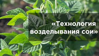 Технология возделывания сои