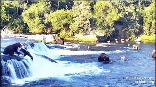 10 Aug 2019: 806 Forces 909 Off the Lip