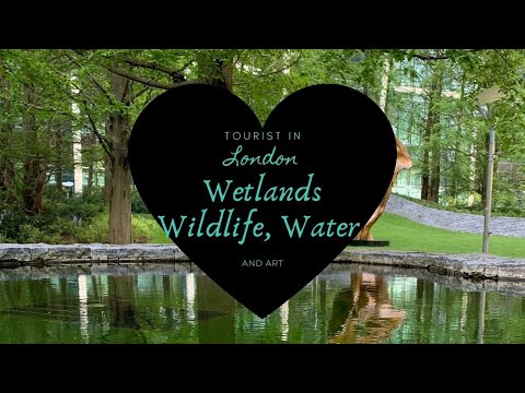 Water, Wetlands, Wildlife and Art in London - A Bike Trip