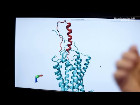 Medikamente individuell angepasst: Bioinformatiker Jens Meiler ist Humboldt-Professor