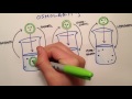 Osmolarity and Tonicity: Understanding Solution and Cell Interactions