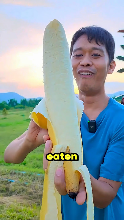 You’ve Never Eaten A Real Banana!😱