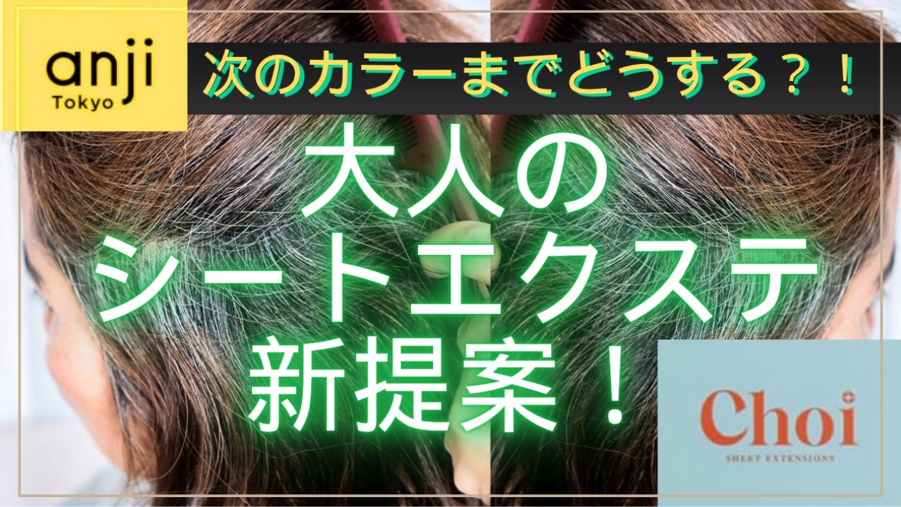 【白髪対策の新提案】次のカラーまで白髪をカバー!大人のシートエクステ『ちょいプラス』とは!?<白髪ぼかしハイライト><ブリーチハイライト><白髪を活かしたヘアカラー>