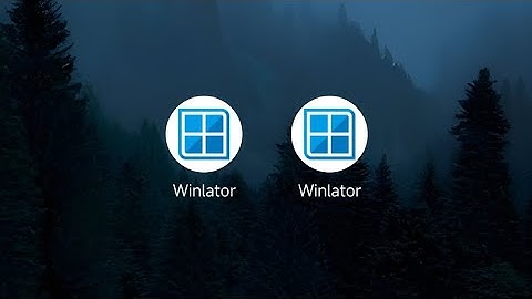 Install Multiple Winlator Version