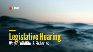 Water, Wildlife, & Fisheries Legislative Hearing | September 16, 2026 Guide