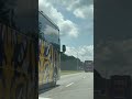 LSU tigers #lsutigers