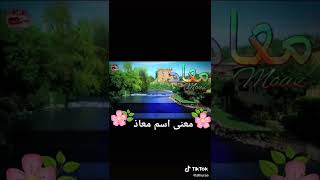 معنى اسم معاذ