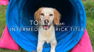 Torin  Intermediate Trick Title