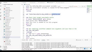 Apache Tomcat 系统精讲 Java面试必备课程（已完结）