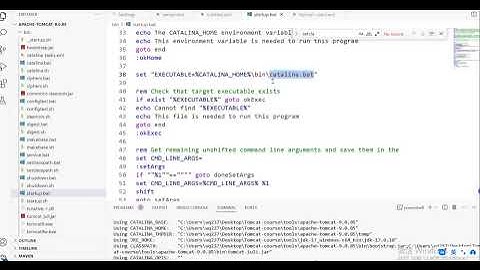 Apache Tomcat 系统精讲 Java面试必备课程（已完结）